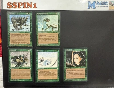 MTG Lhurgoyf Signed Pete Venters Ice Age +Bonus - Image 1 of 4