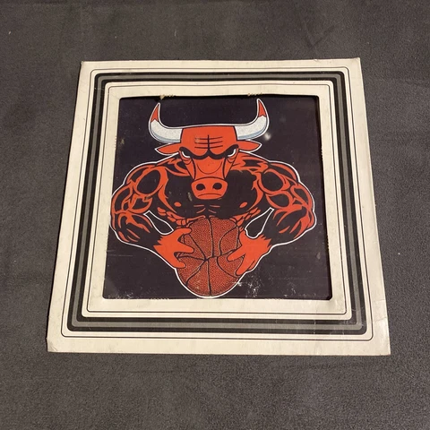 Vintage CHICAGO BULLS framed carnival picture logo basketball glass Jordan Era Cover
