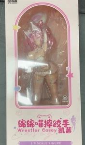 AniMester Wrestler Casey 1/6 Complete Figure Model Toy New IN Stock - Picture 1 of 9