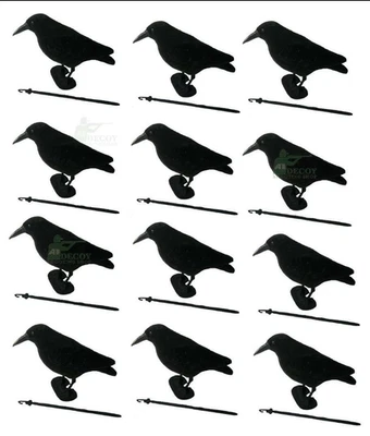 Flocked Crow Decoys Corvid Full Body with Feet and Stake Pack of 24 High Quality - Image 1 of 4