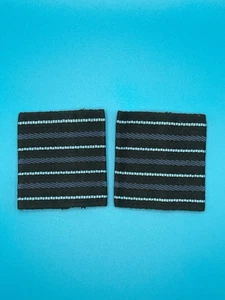 RAF Royal Air Force Group Captain (Gp Capt) Rank Slides (Pair) - Picture 1 of 1