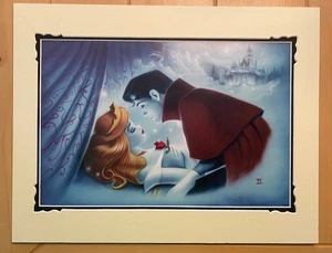 Disney Noah La Bella Addormentata Principessa Aurora Stampa Deluxe Nuova in Plastica Originale - Foto 1 di 3