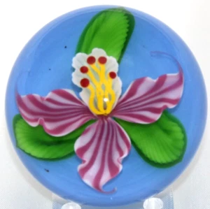Beautiful Mayauel WARD Tropical Blooming HIBISCUS Flower Art Glass PAPERWEIGHT - Picture 1 of 8