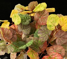 1 MAZZO GERANIO COLORATO ARTIFICIALE PER COMPOSIZIONI COLORE A SCELTA 40CM FIOR