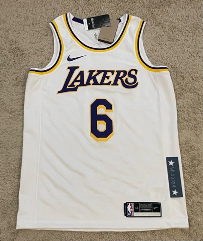 Nike LeBron James Los Angeles Lakers Assoc. Edition Jersey-Men's M (44) #CW3595 Cover