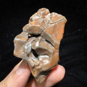 🌟🔥🚀Natural Gobi Weathered Agate"Tortoise Back Patter”Stone/Moire Stone Specim - Imagen 1 de 11