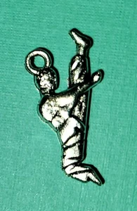 Pendant Martial Arts Charm Sports Charm Karate Charm Kung Fu Charm JuJutsu Charm - Picture 1 of 3