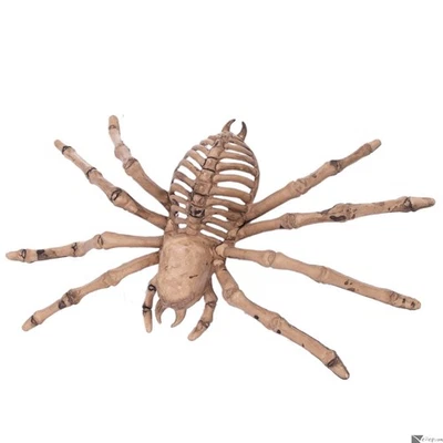 Esqueleto Araña Horror Halloween Criatura Espeluznante 9" Decoración Utilería, Gris Foto 1 de 4