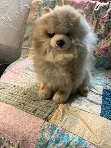 Blush Pomerainium Domo Designs Lively and Lovely Handcrafted toys - Picture 1 of 6