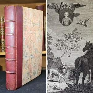 1726 BENTLEY TERENCE Afri Comoediae, Phaedri Fabulae Aesopiae 4to 1st Thus - Imagen 1 de 22