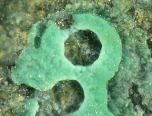 PROBENSEITE aus Abtenau, Österreich * SELTENES PHOSPHATMINERAL * 2,1 cm - Bild 1 von 6