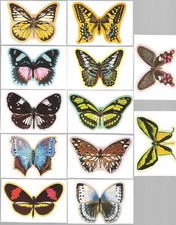 CIGARETTE/TRADE/CARDS.Tonibell.BEAUTIFUL BUTTERFLIES (M).(1977).(Full Set of 12)