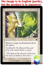 Magic: The Gathering MTG Jpver Foil Wipe Clean SCG Common