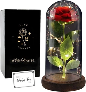FAYODO Die Schöne Und Das Biest Ewige Rose, Rote Galaxie Rose Geschenk Für Mama, - Bild 1 von 7