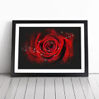 Red Rose Flower Vol.5 Wall Art Print Framed Canvas Picture Poster Decor