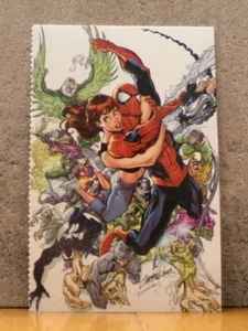 COOLE SPIDER-MAN POSTKARTE - ERSTAUNLICHER SPIDER-MAN #500 J. SCOTT CAMPBELL & DAN KEMP - Bild 1 von 3