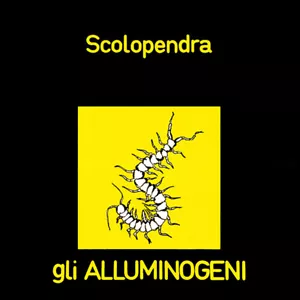ALLUMINOGENI Scolopendra CD italian prog - Imagen 1 de 1