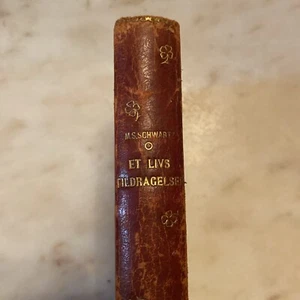 Et Livs Tildragelser von Marie Sophie Schwartz - 1909 Danish Copenhagen - Bild 1 von 6