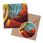 1 x Greeting Card & 10cm Sticker Set - Beautiful Pheasant Feathers Bird #50216