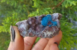 Muestra de minerales de cavansita en matriz #H16 - Imagen 1 de 4