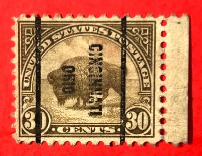 US Sc#700 1931 American Bison Precanceled Perf:10 1/2 x11 NH NG F/VF (1-271) - Image 1 of 3