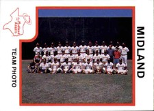 1987 Midland Angels ProCards #30 Midland Angels Team Photo - NM Baseball Card