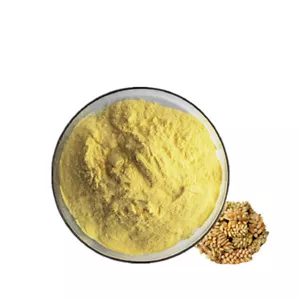 Polen de pino roto con cáscara silvestre 100 g ~ 500 g 99 % pared celular agrietada - Imagen 1 de 1