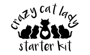 Crazy Cat Lady Starter Kit Car Sticker / Decal for Cat Lovers and Cat Mums - Bild 1 von 6