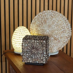Boho Muschel Tischlampe rosenförmige Muschelschalen - Bild 1 von 47