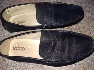 ecco drivers