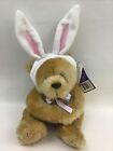 American Greetings Soft Touch Greeting Card Holder Bear Plush w Rabbit Ears Tag