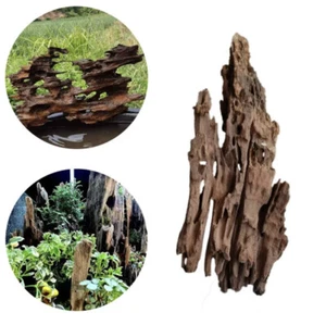 3x Malaysian Driftwood Aquarium Wood Fish Tank Drift Wood Reptile Wood  - Picture 1 of 12