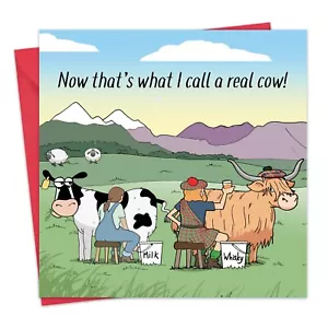 Funny Card - Scottish Highland Cow - Scotland Funny Birthday Card - Blank Inside - Picture 1 of 7