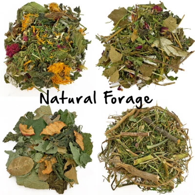 Bunny Bistro Salad Blends - Natural Botanical Food, Rabbit, Guinea Pig, Degu