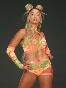 Kelani Jordan Posing 11x17 Photo Print WWE Evolution Divas Raw NXT Raw BRAND NEW - Picture 1 of 1