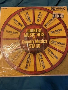 Country Music Hits By Country Music's Star - Foto 1 di 8