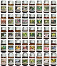 Pure Essential Oils 5ml Therapeutic Grade Aromatherapy Free Shipping US