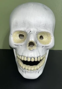 Vintage Life-size Ceramic Glow-in-the-Dark Skull - Picture 1 of 11