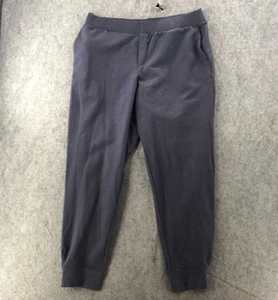 Pure Jill Gray Blue Joggers French Terry Comfort Lounge Casual Travel Pants Sz L - Picture 1 of 14