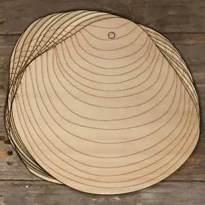 10x Holz Muschel Elegant Dosinia Handwerk Formen 3 mm Sperrholz - Bild 1 von 4