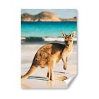 A5 - Australian Baby Kangaroo Beach Print 14.8x21cm 280gsm #8812