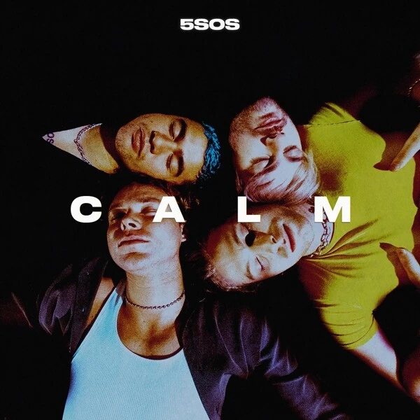 5 SECONDS OF SUMMER - CALM   CD NEU - Bild 1 von 1