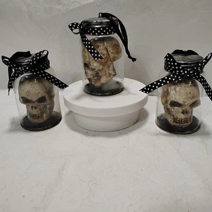 dekorative Totenkopf Köpfe - Bild 1 von 8
