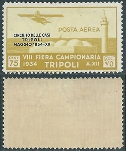 1934 TRIPOLITANIA POSTA AEREA CIRCUITO DELLE OASI 75 CENT GOMMA BICOLORE RE13-3 - Imagen 1 de 1