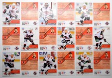 2012-13 KHL Avtomobilist Yekaterinburg - Pick a Player Card