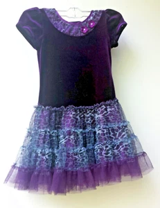 Jona Michelle Purple Velvet Party Dress Girls Size 4 Lined Net Skirt - Picture 1 of 5