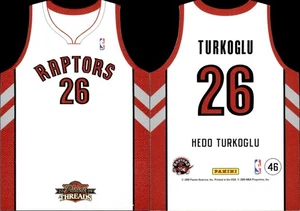 2009-10 Panini Threads Team Home Hedo Turkoglu #46 Efes Pilsen/Toronto Raptors - Picture 1 of 3
