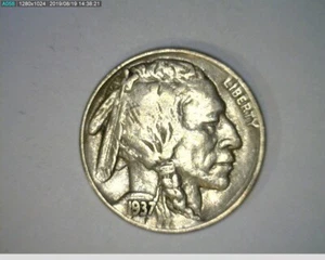 Büffelnickel 1937 (29-312 6m³) - Bild 1 von 2