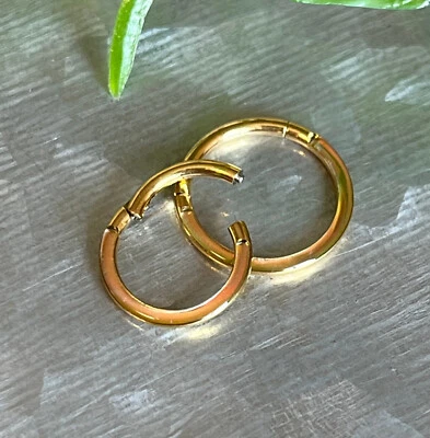 1pc Photochromatic Titanium Hinged Segment Ring Septum Hoop Helix Daith 16g - Image 1 of 2