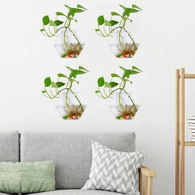 Wall Mounted Hexagonal Vase Hexagonal Planters Glass Flowerpot for Home Pots - Image 1 of 4